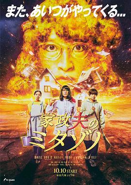 电视剧北京青年在线观看